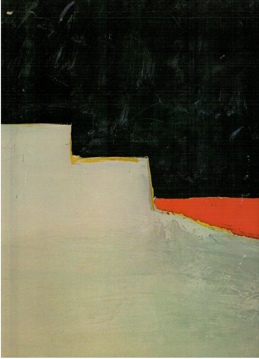 L'arte moderna vol.XII correnti contemporanee I