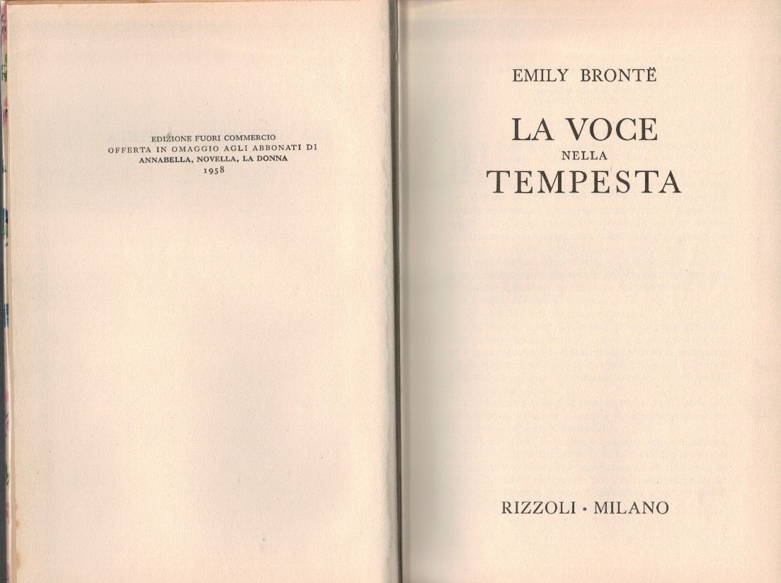 La voce nella tempesta