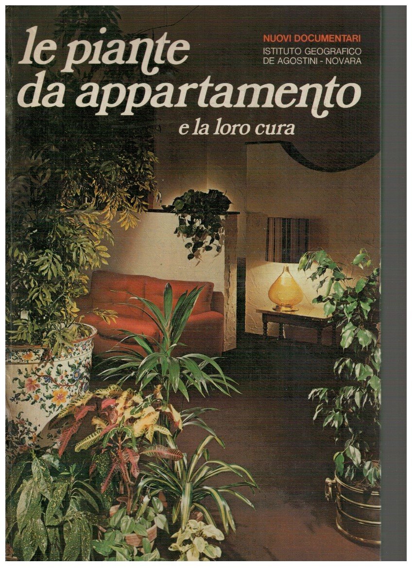 Le piante da appartamento e la loro cura