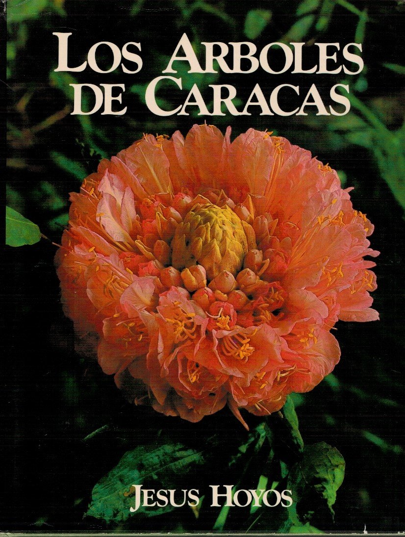 Los arboles de Caracas