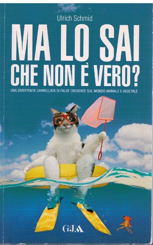 Ma lo sai che non è vero?