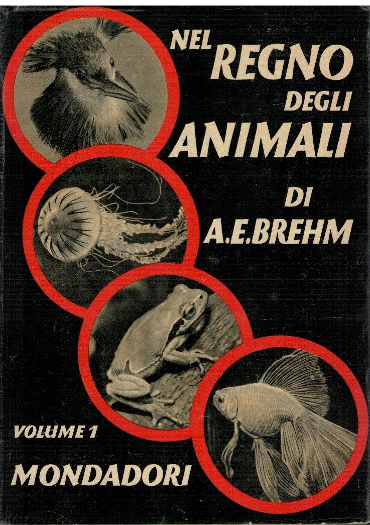 Nel regno degli animali Vol. 1