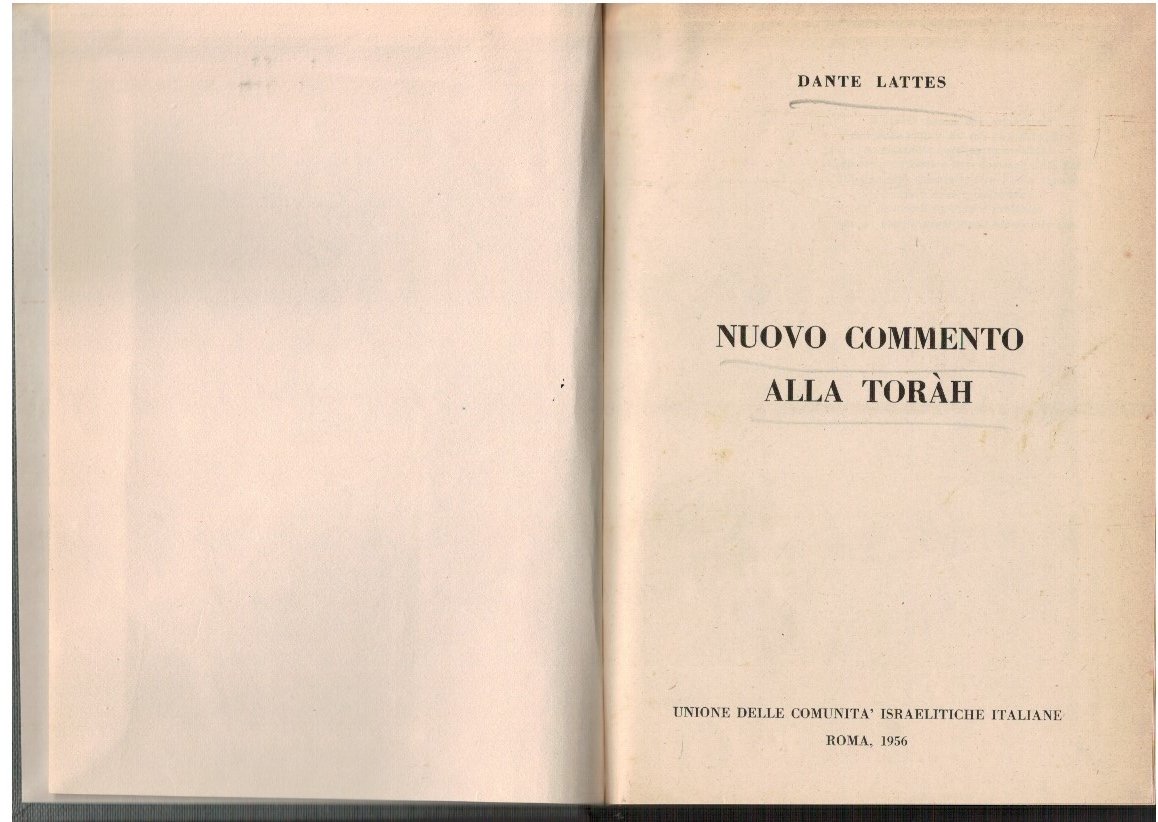 Nuovo commento alla Toràh