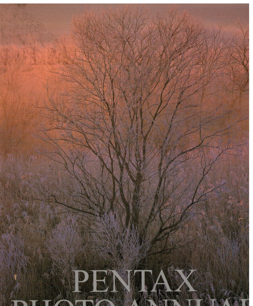 Pentax photo annual 2002-2003