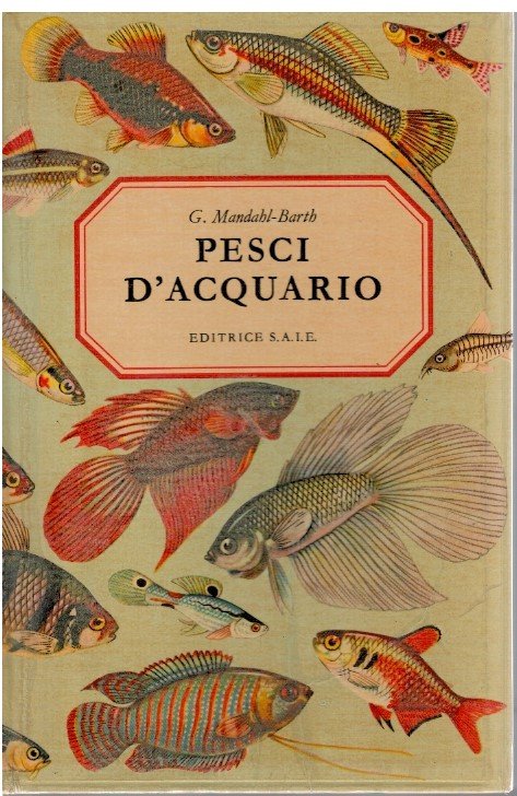 Pesci d'acquario