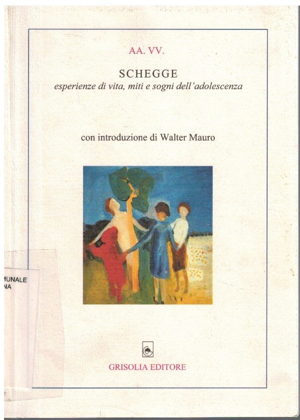 Schegge esperienze di vita, miti e sogni dell'adolescenza