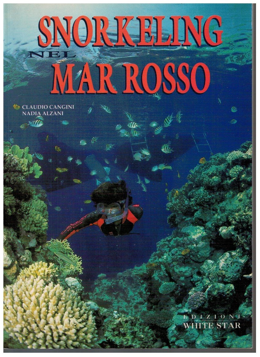 Snorkeling nel Mar Rosso