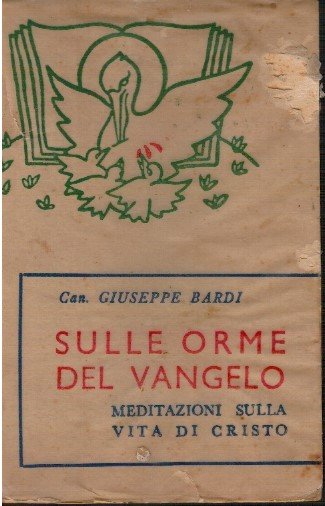 Sulle orme del Vangelo meditazioni sulla vita di Cristo