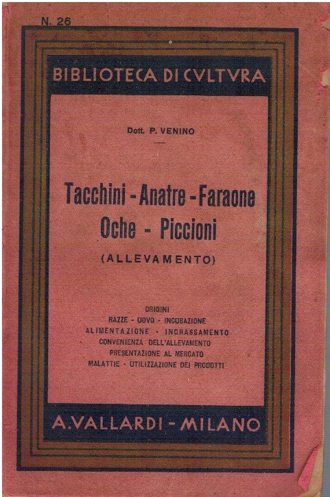 Tacchini - Anatre - Faraone - Oche - Piccioni (Allevamento)
