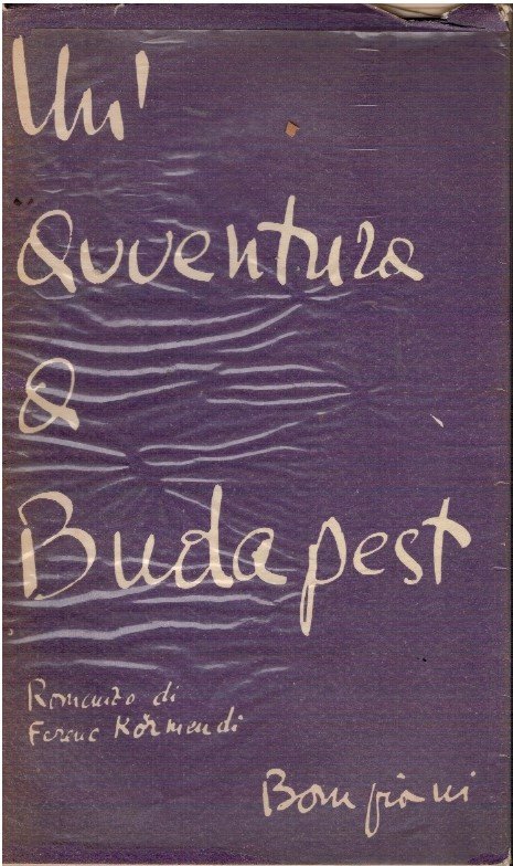 Un'avventura a Budapest