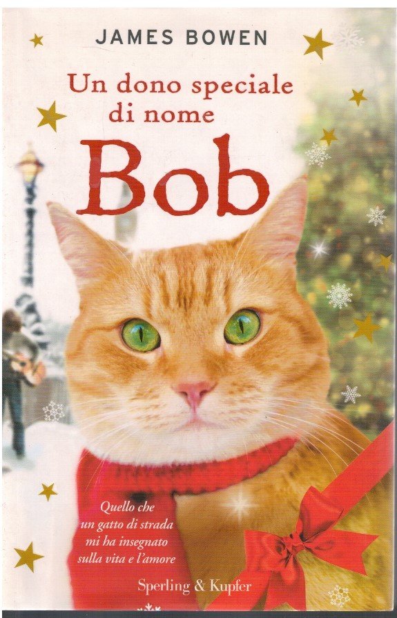 Un dono speciale di nome Bob | Immagine principale