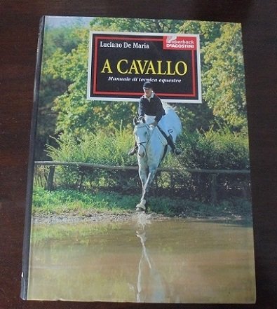 A CAVALLO. MANUALE DI TECNICA EQUESTRE | Immagine principale