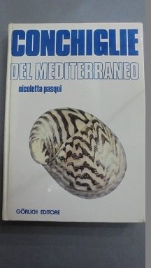 CONCHIGLIE DEL MEDITERRANEO