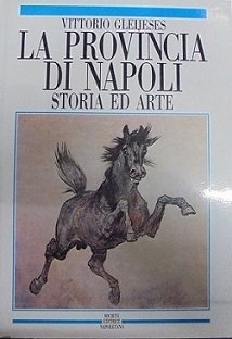 LA PROVINCIA DI NAPOLI. STORIA ED ARTE.