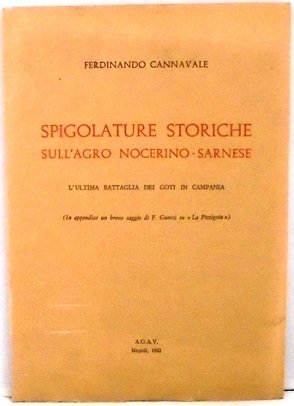 SPIGOLATURE STORICHE SULL`AGRO NOCERINO-SARNESE L`ultima battaglia dei Goti in Campania. …