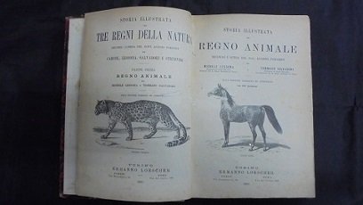 STORIA ILLUSTRATA DEL REGNO ANIMALE