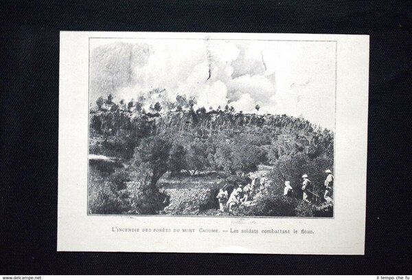 L'incendio delle foreste del monte Caoume Stampa del 1906