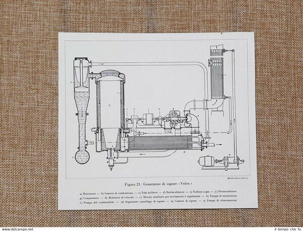 Schema di un generatore a vapore Velox degli inizi del …