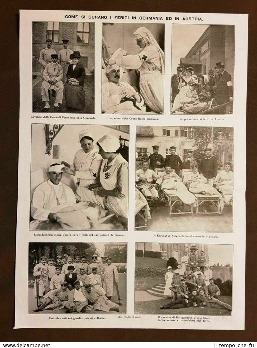 1915 Feriti Germania Austria Croce Rossa Maria Josefa WW1 Prima …