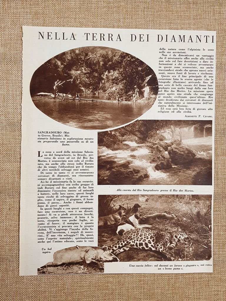 A Sandradouro nel Mato Grosso negli anni 30 La terra …