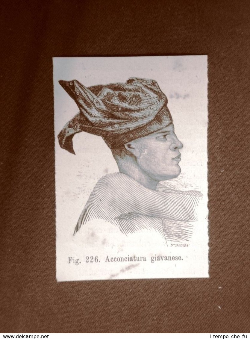 Acconciatura giavanese o di donna dell'Isola di Giava nel 1883 …