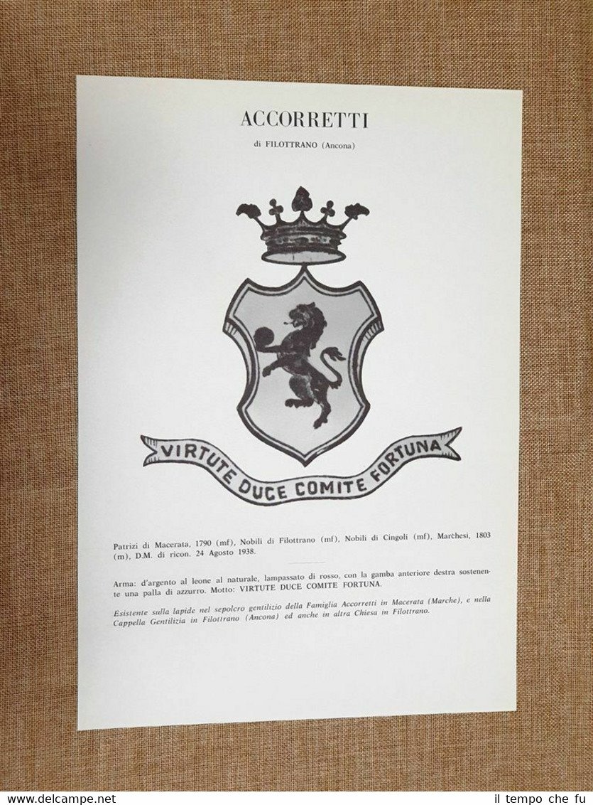 Accorretti di Filottrano (Ancona) Stemma Famiglia Nobile Nobiltà Araldica