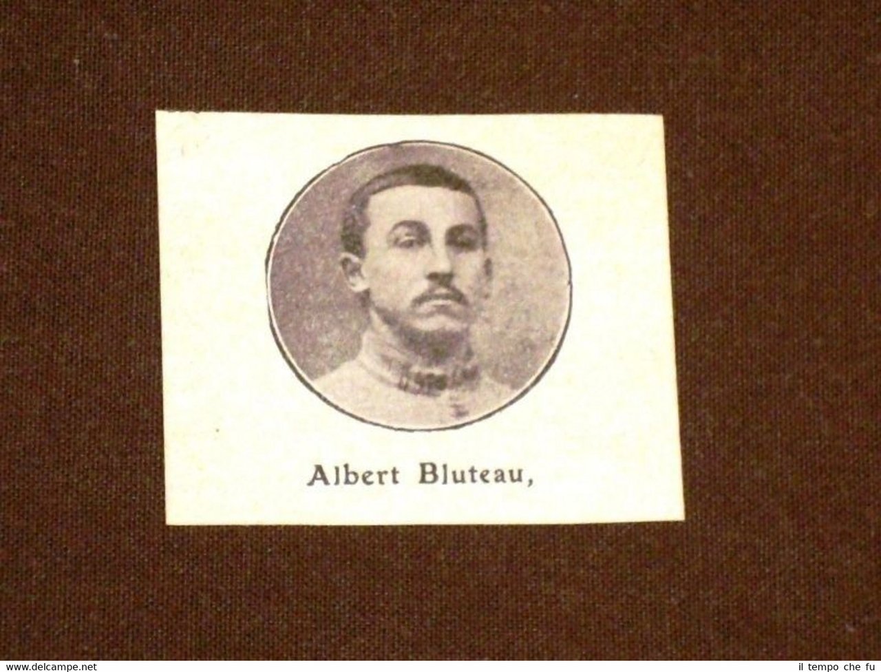 Albert Bluteau