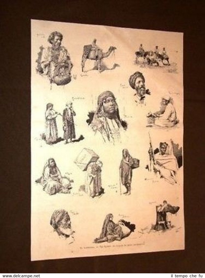 Alessandria Egitto Musicante Cacciatore Acquaiuolo