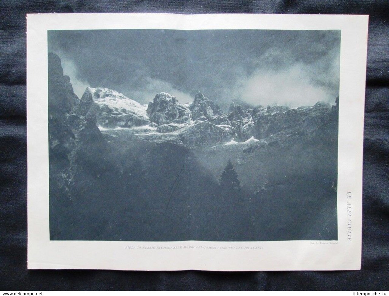 Alpi Giulie: Madri dei Camosci + Monti Canin e Mangart … | Immagine principale