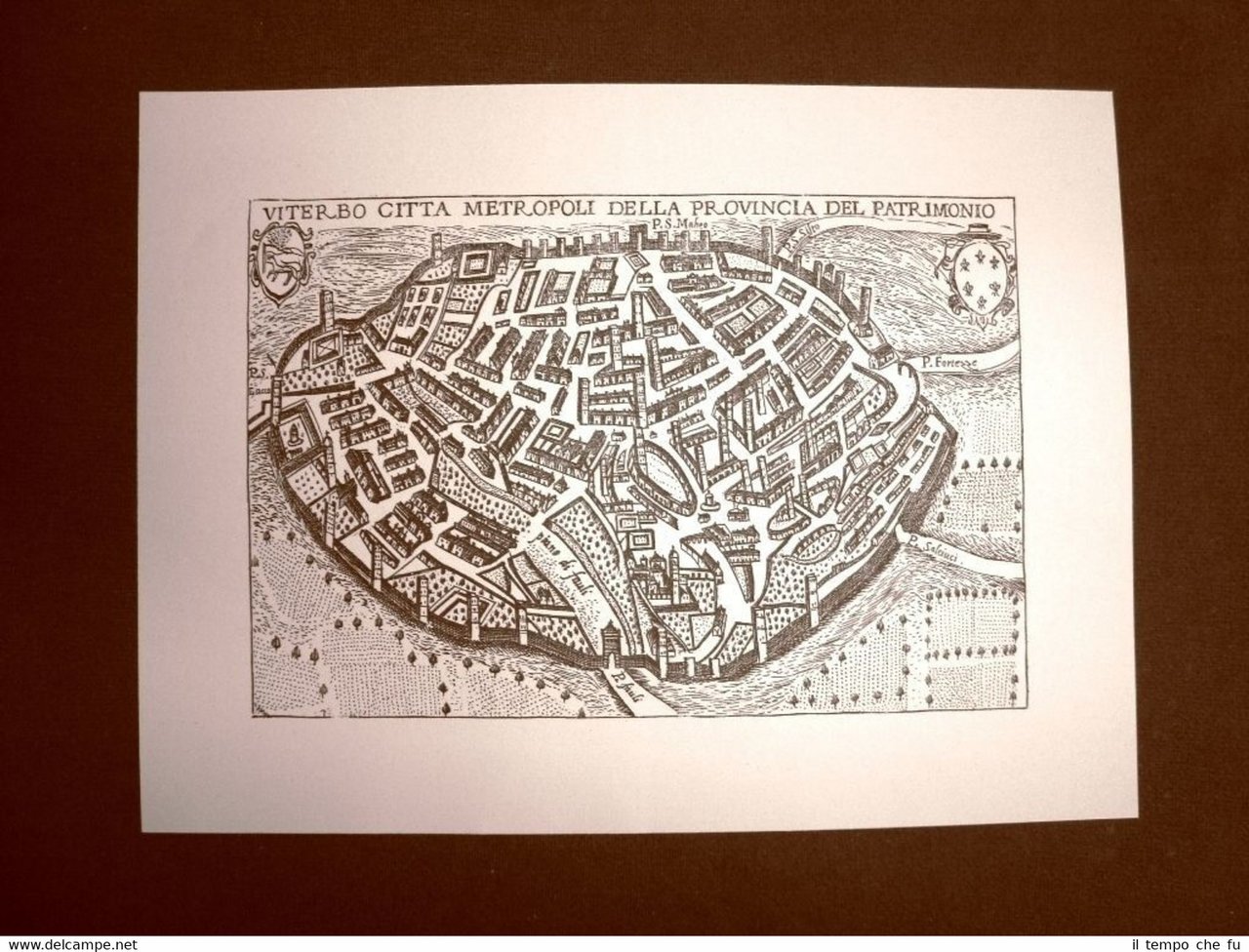 Antica veduta della città metropoli di Viterbo Incisione del '600 …