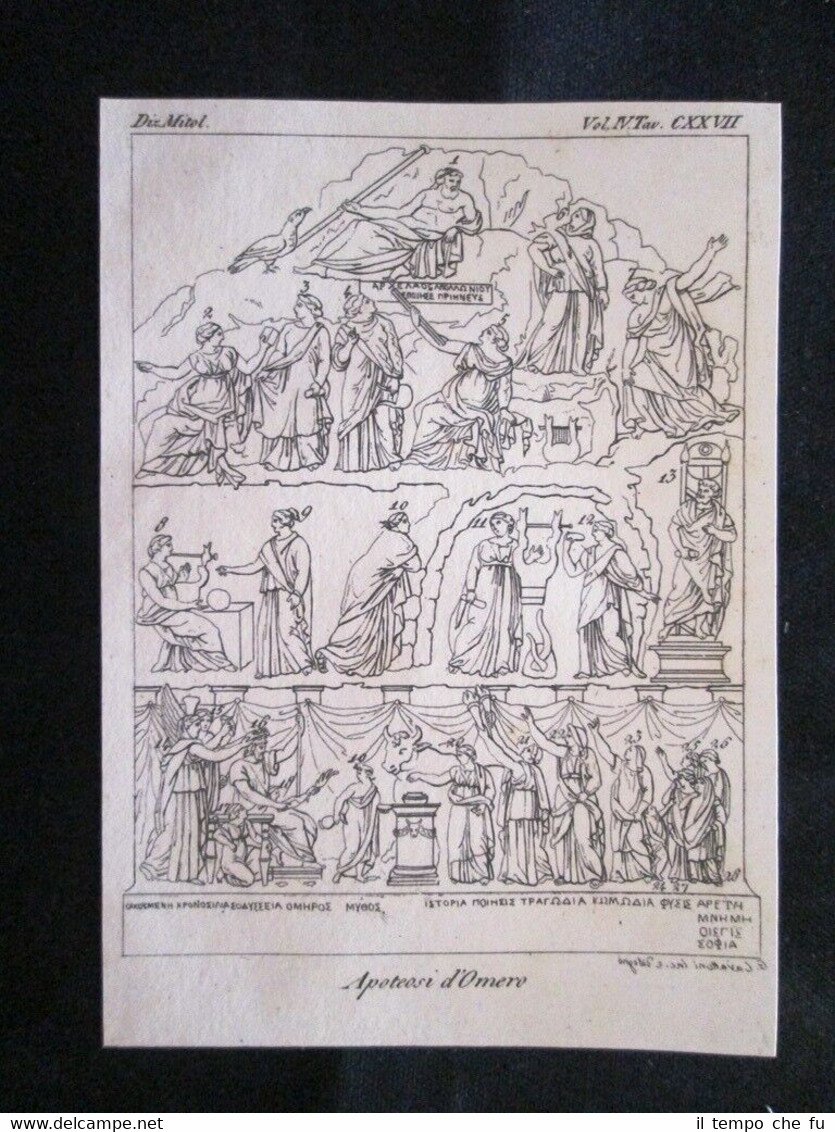 Apoteosi d'Omero Incisione all'acquaforte del 1820 Mitologia Pozzoli