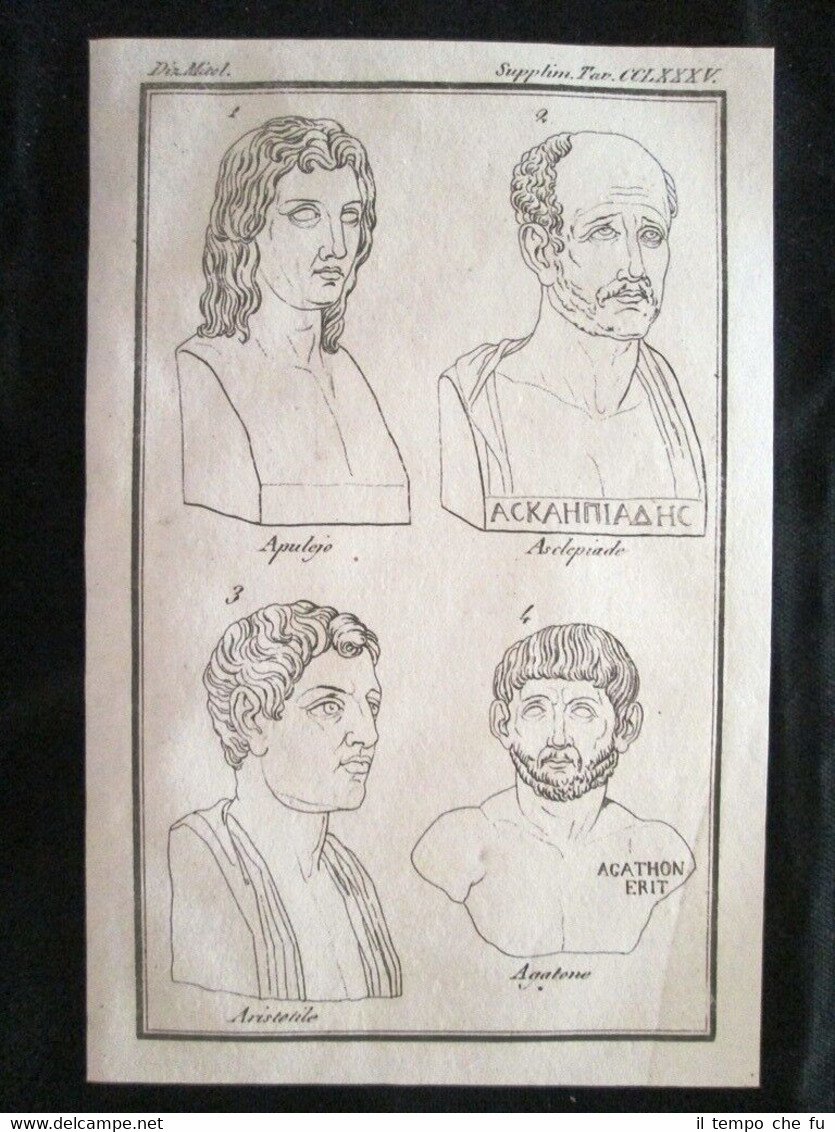 Apulejo,Aristotele,Agatone Incisione all'acquaforte del 1820 Mitologia Pozzoli