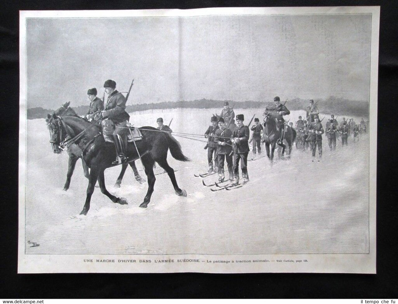 Armata svedese - Pattinaggio a trazione animale Stampa del 1903 | Immagine principale
