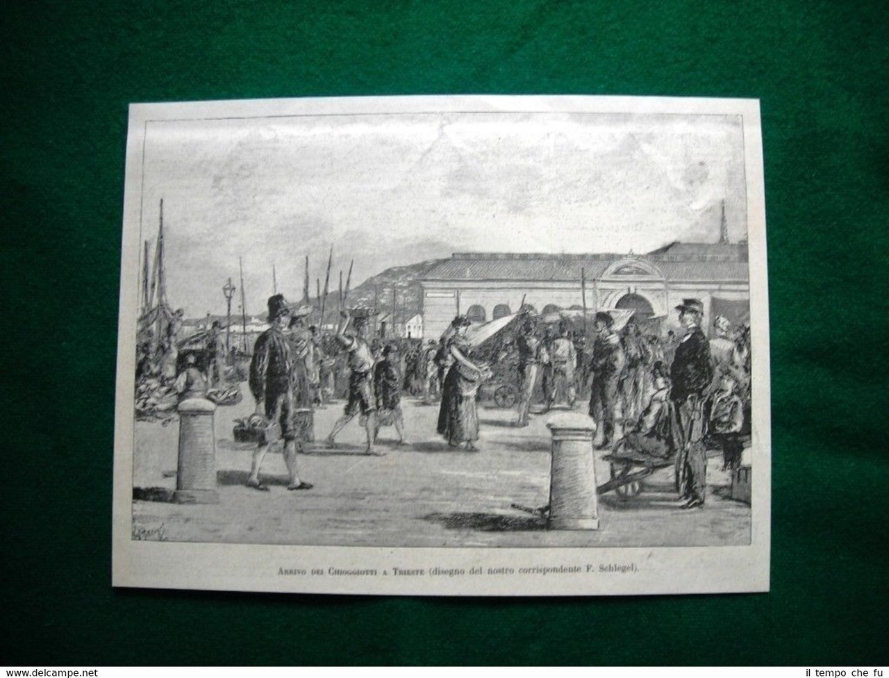 Arrivo dei Chioggiotti a Trieste nel 1884