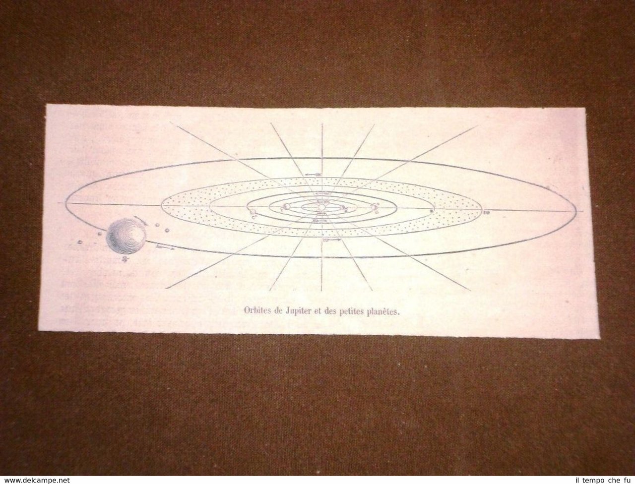 Astronomia L'orbita di Giove e dei piccoli pianeti intorno al …