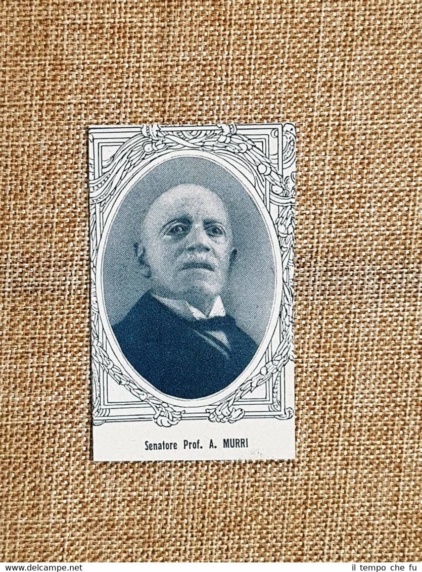 Augusto Murri nel 1928 Fermo 8 settembre 1841 – Bologna … | Immagine principale