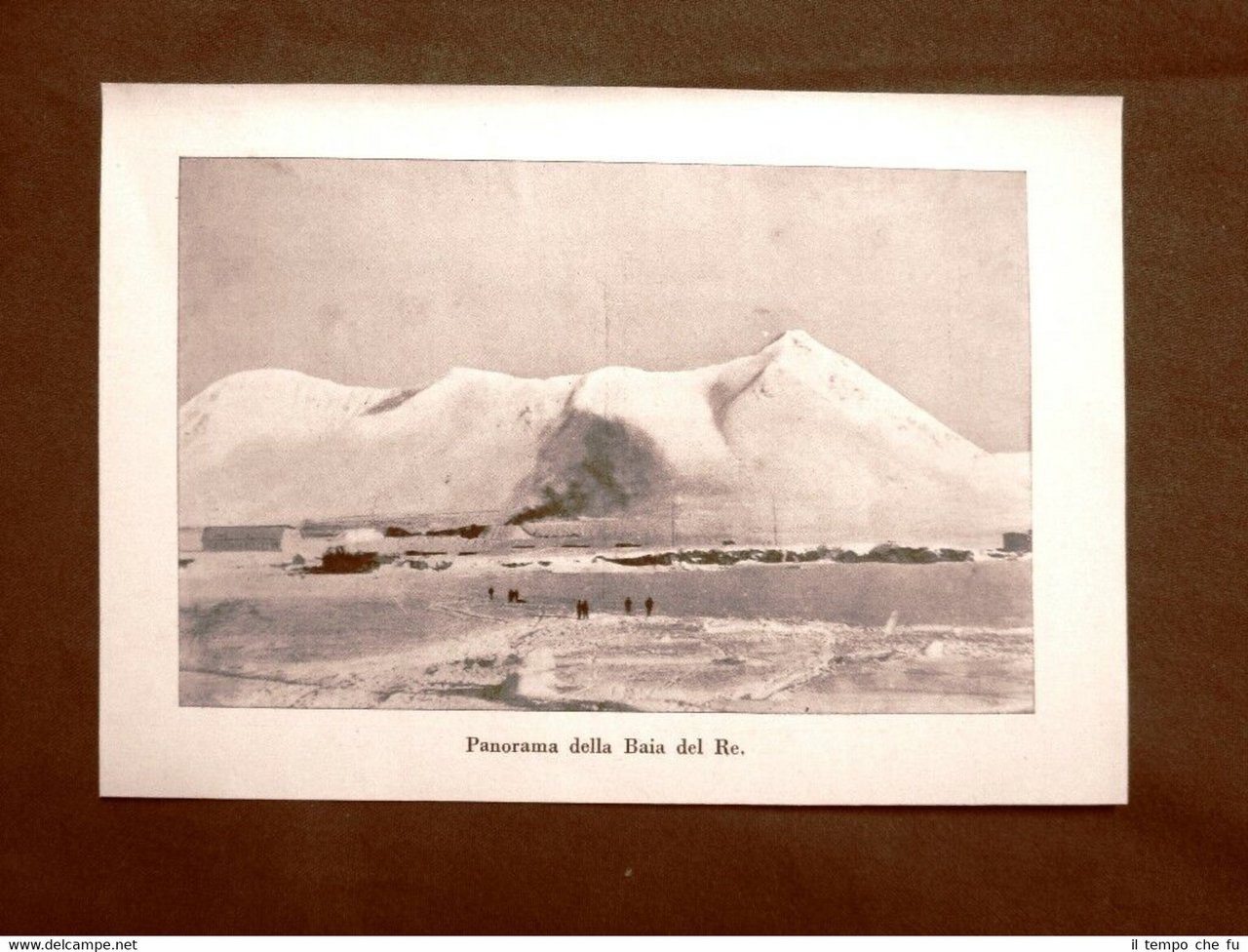 Baia del Re e La Città di Milano Naufragio spedizione …