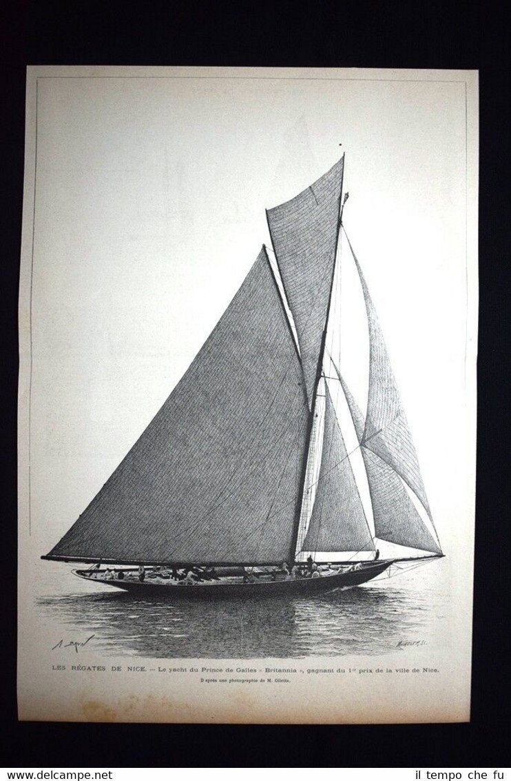 Barca Principe di Galles "Britannia", vincitore Regate Nizza Incisione del …