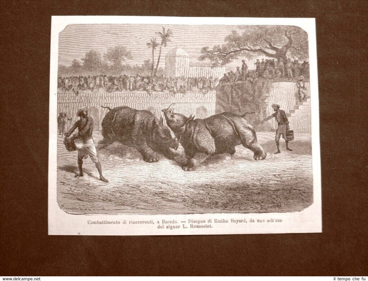 Baroda nel 1863 Un combattimento tra rinoceronti India