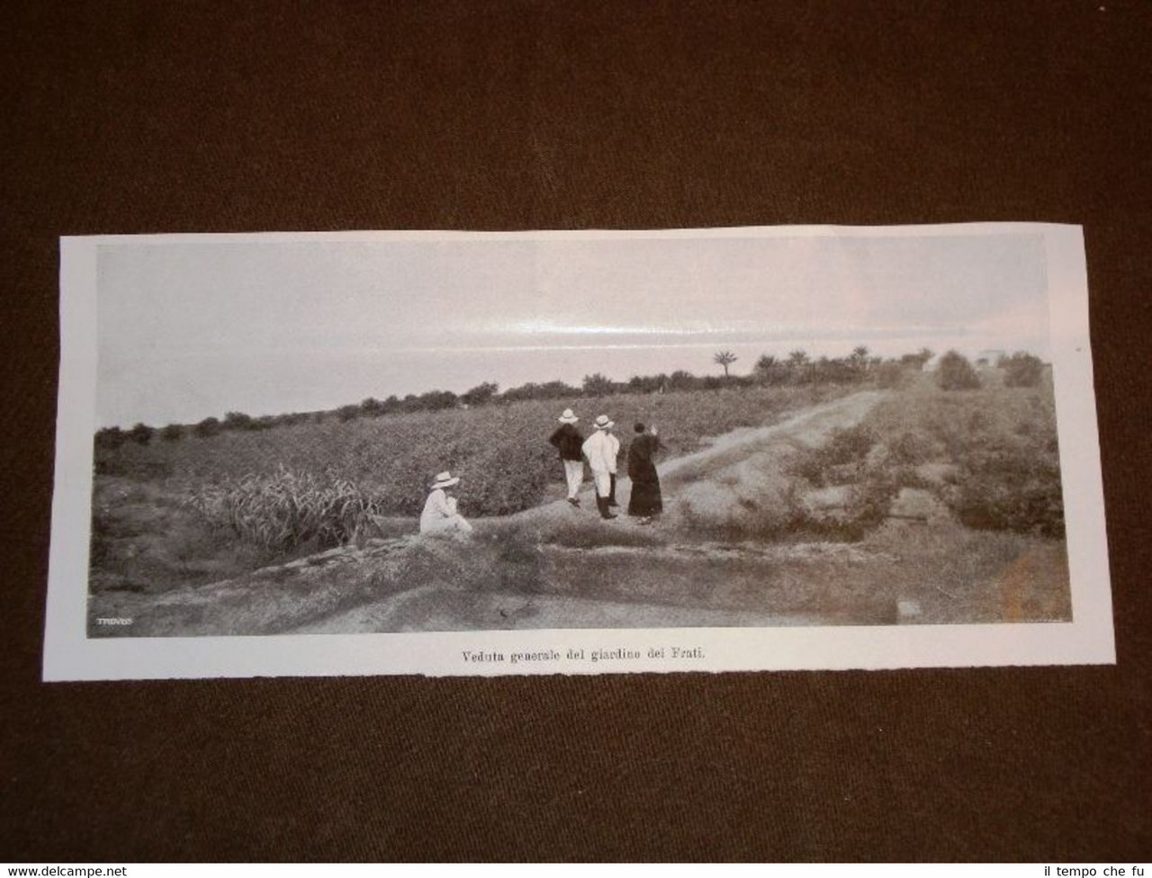 Bengàsi nel 1902 Veduta generale del giardino dei Frati Libia | Immagine principale