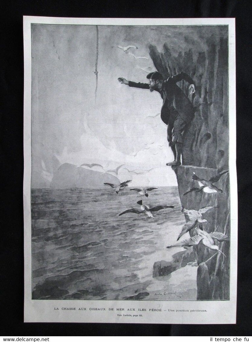 Caccia agli uccelli di mare, Isole Faroe - Posizione pericolosa …