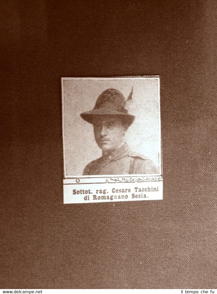 Caduto per la Patria Cesare Tacchini Romagnano Sesia Prima Guerra …