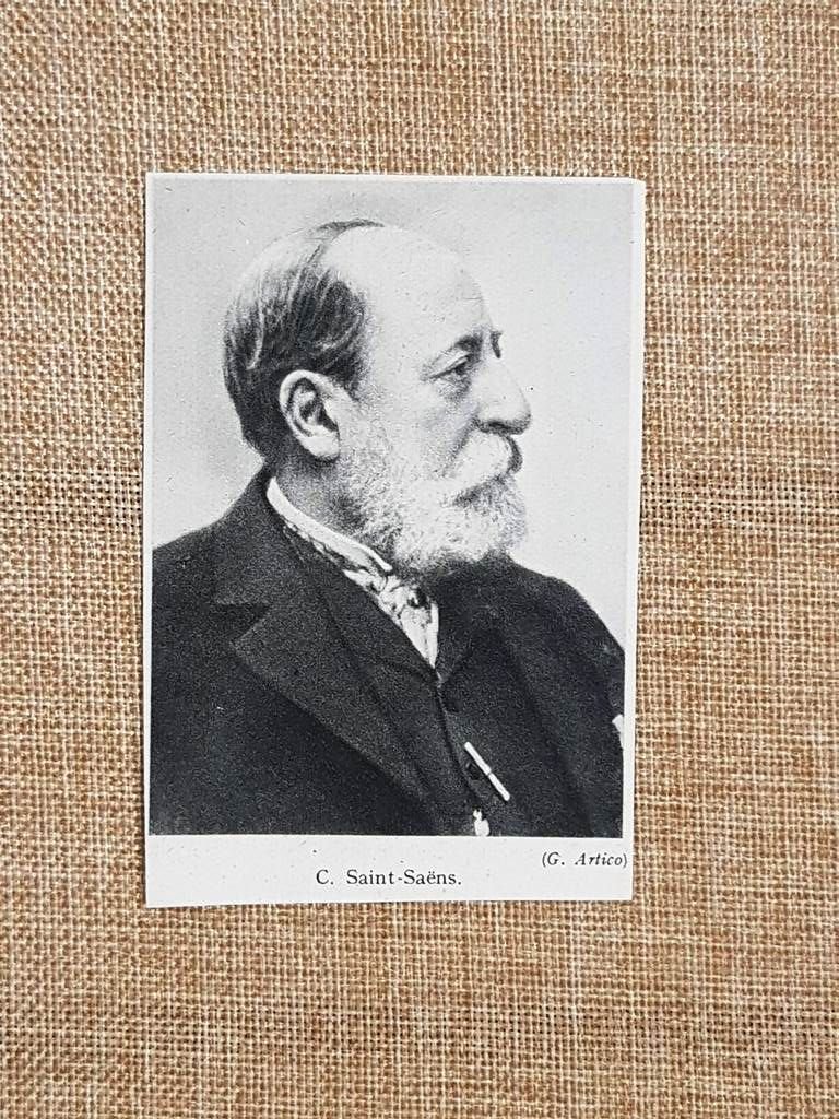 Camille Saint-Saens 1835 – 1921 Carnevale Animali Danza Macabra Stampa …