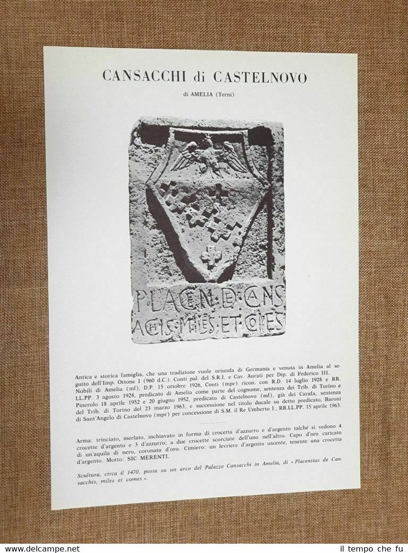 Cansacchi di Castelnovo di Amelia Terni Stemma Famiglia Nobile Nobiltà …