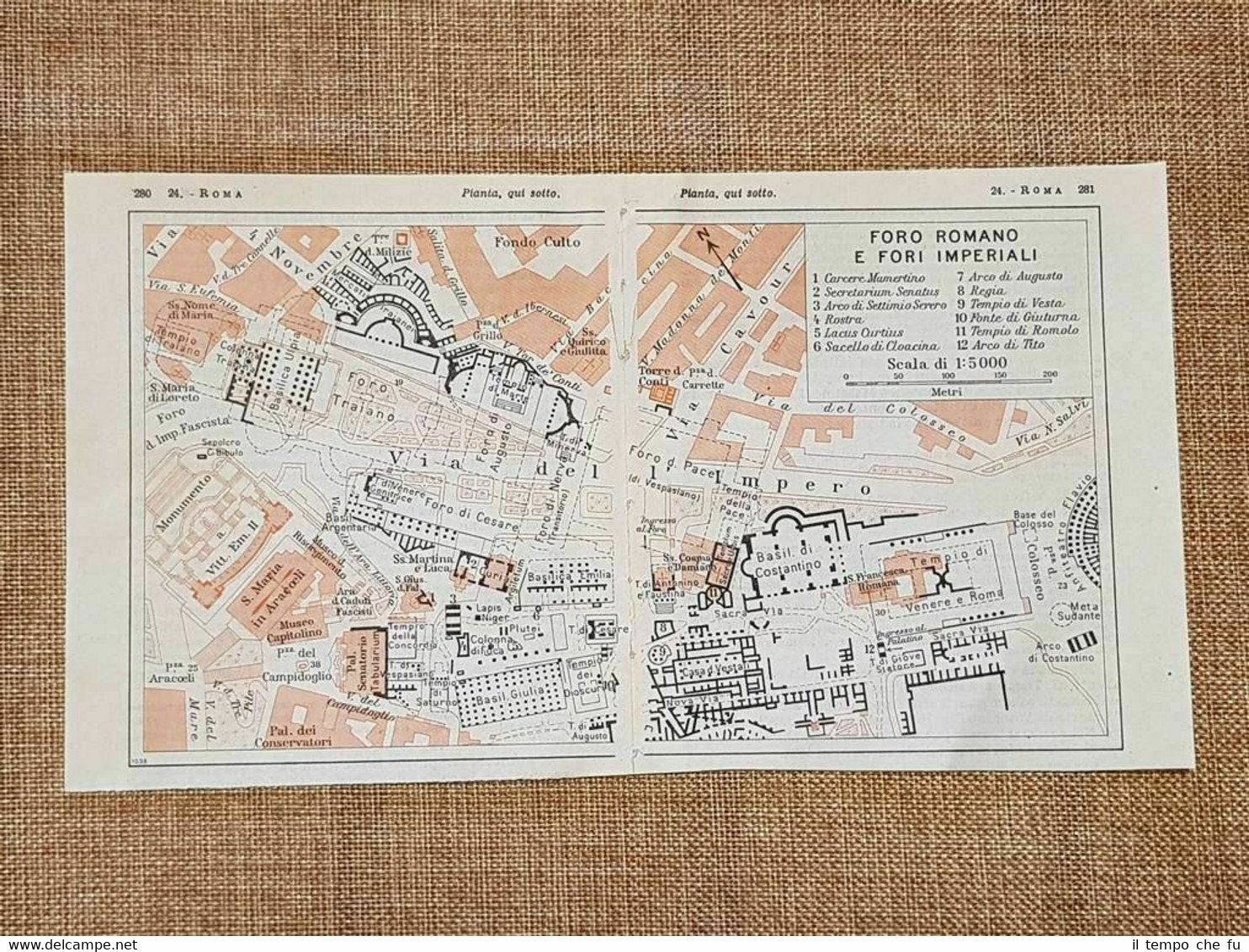 Pianta Artificiale Sospesa Zebra Herb Tradescantia 90 Cm - Foto 7