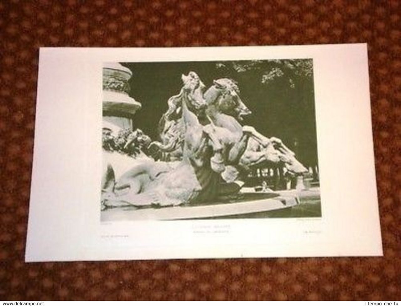 Cavalli Marini Fontana in Lussemburgo - Frémiet