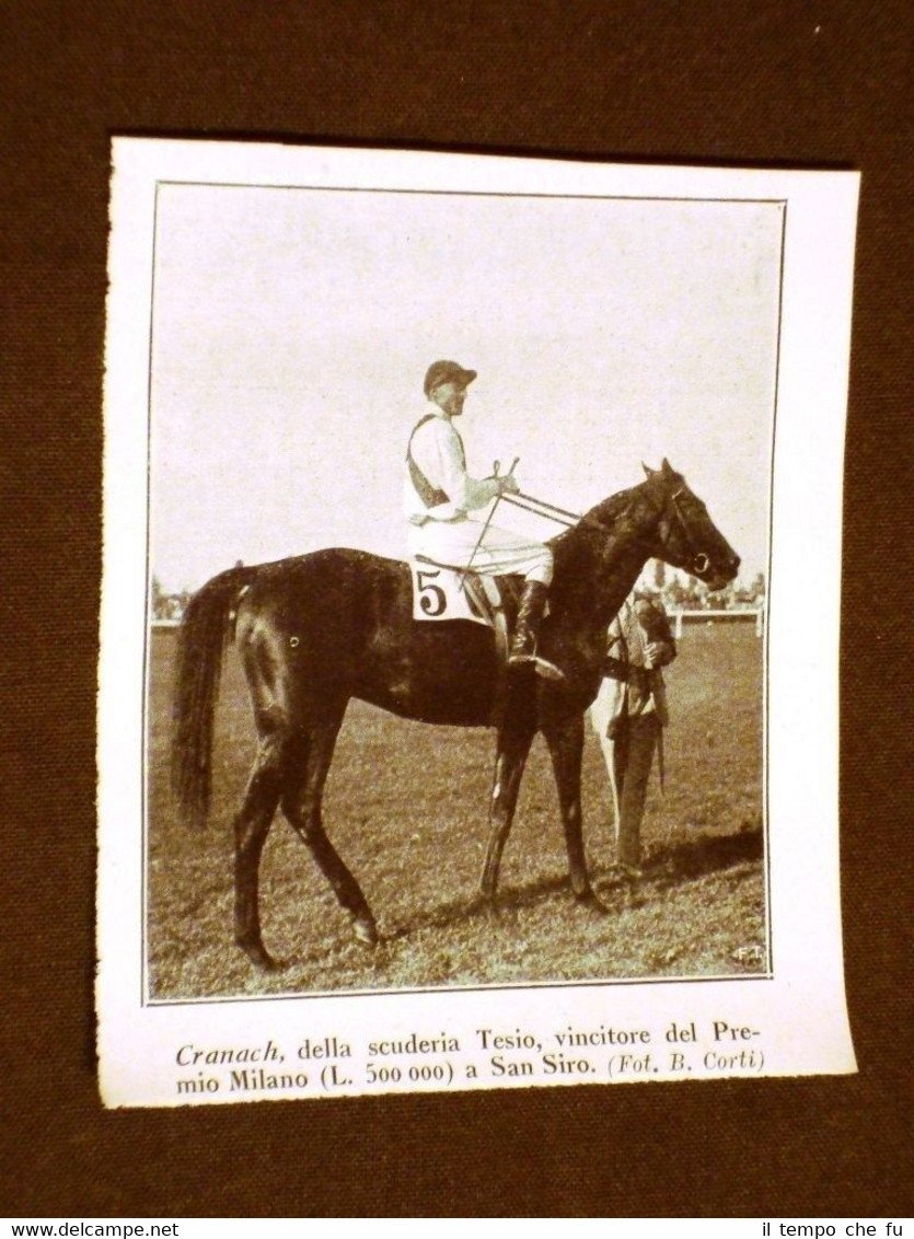 Cavallo Cranach nel 1928 Scuderia Tesio Vince il Premio Milano …