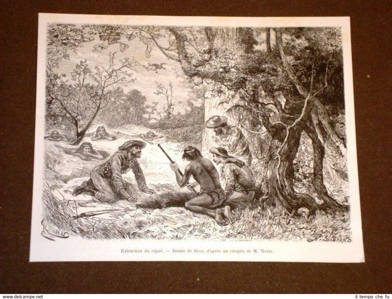 Chaco Boréal en 1889 Extraction du cipoi et Halte à …