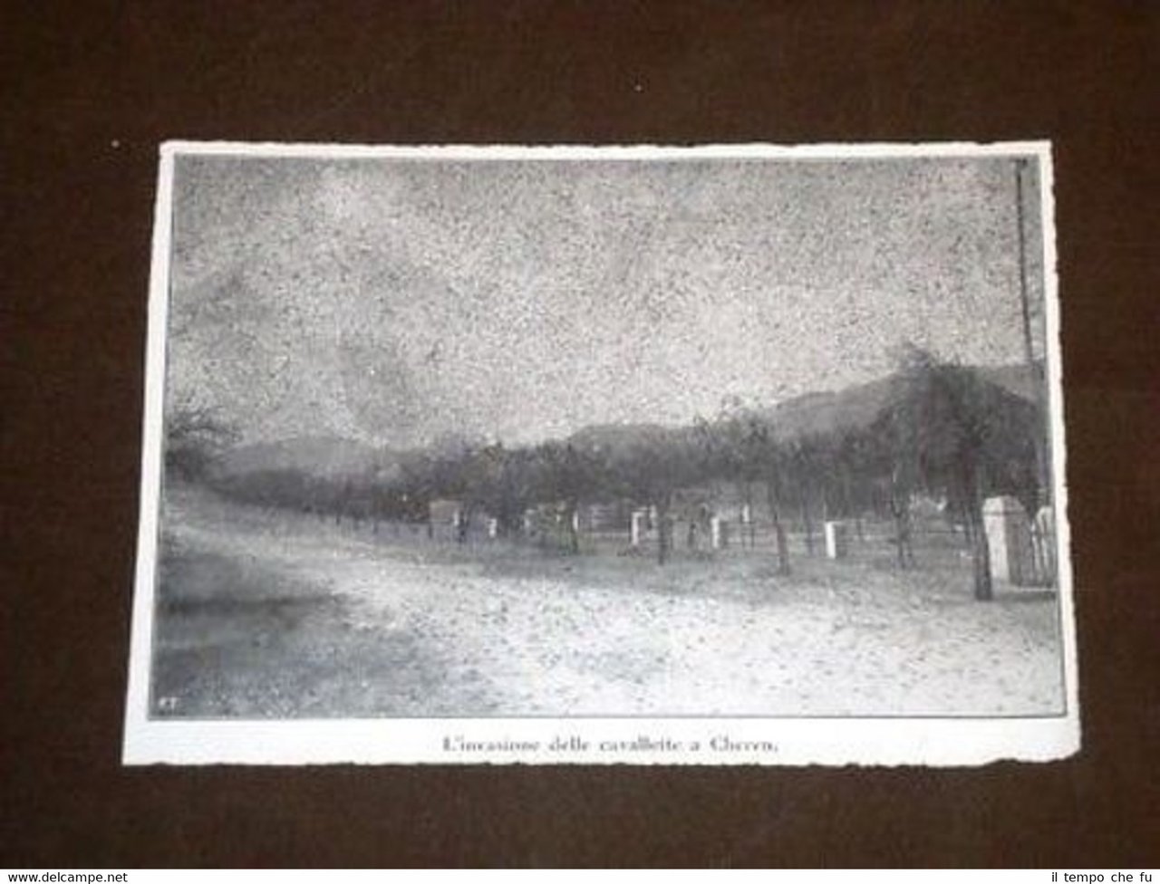 Cheren Keren Cavallette e Scuola Salvago Raggi Eritrea