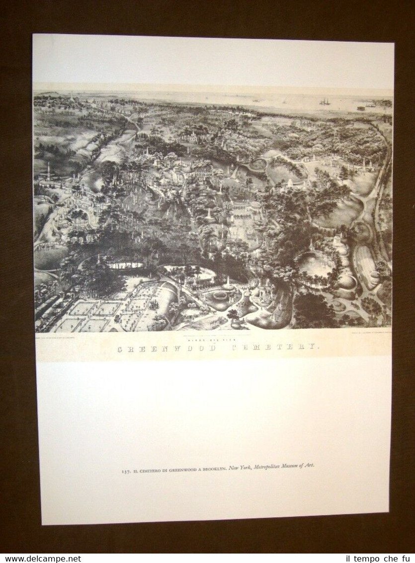 Cimitero Greenwood Brooklyn + Venditore ostriche Stampa popolare americana USA